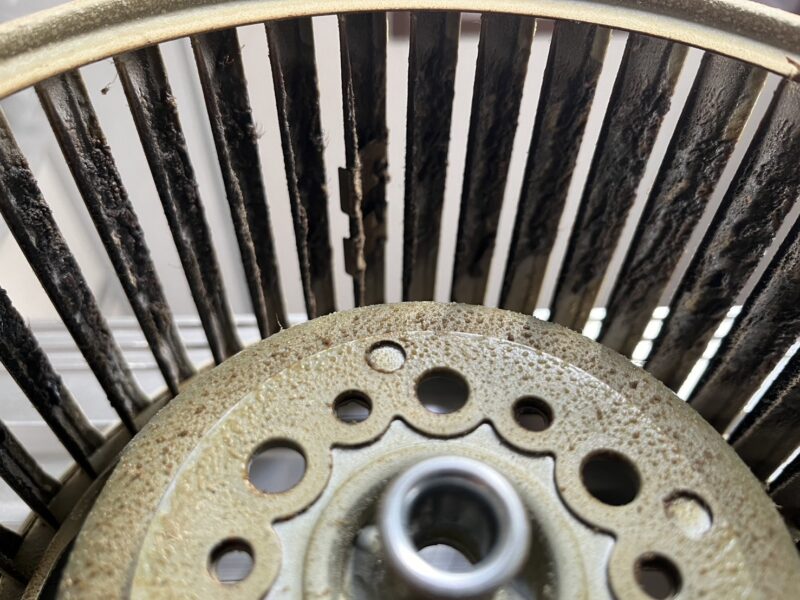 レンジフードクリーニング