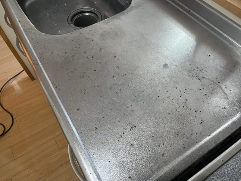 1Rアパート清掃